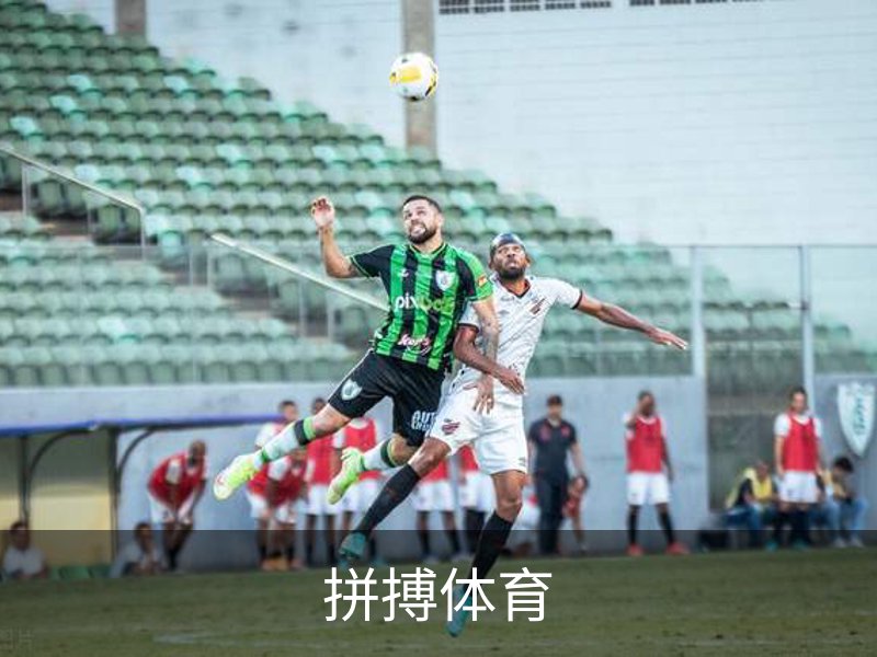 拼搏体育介绍